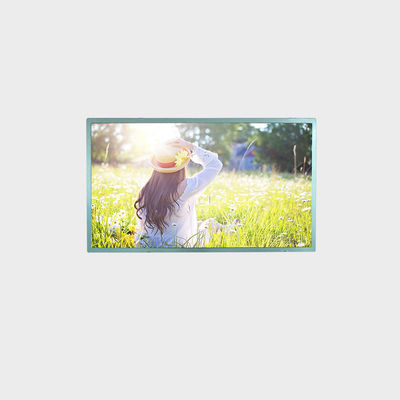 Display LCD de 27 pulgadas Alto brillo 1920*1080 LVDS 700 Nits Display