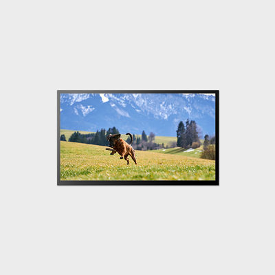 23.8 pulgadas pantalla LCD de alto brillo 58W 1920*1080 panel LCD LVDS 1000nits