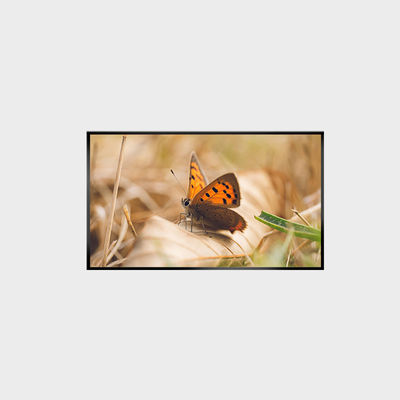 Panel LCD de 43 pulgadas 2000nits 1920*1080 LCMA-RX0430GL13-Z200