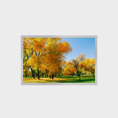 Pantalla LCD TFT de 12,1 pulgadas con resolución de 1280*800, interfaz LVDS 16:9, 1500 nits