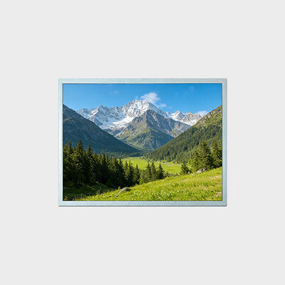 Exhibición de TFT LCD de 15 pulgadas con la solución de la ayuda -30~80°C de la resolución 1024*768
