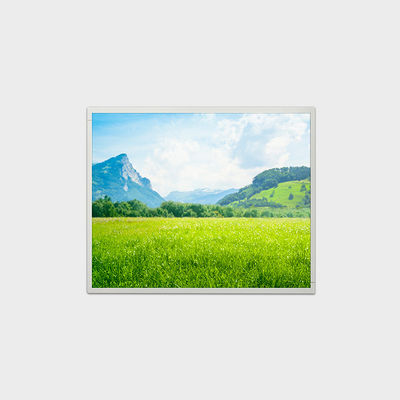 LVDS 500nits Pantalla LCD de alto brillo de 19 pulgadas Pantalla LCD 1280*1024