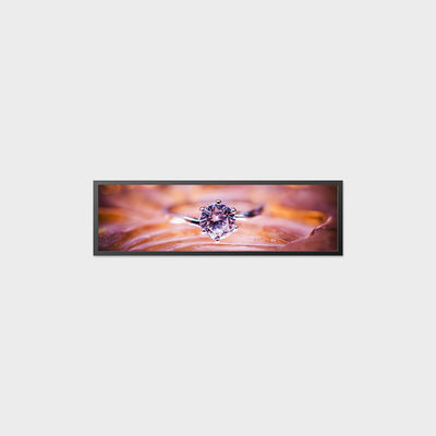 19Pantalla LCD de 5 pulgadas 1920*536 700nits Pantalla LCD LVDS Alta antivibración