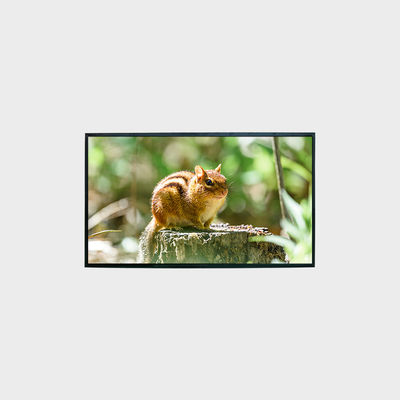 Pantalla LCD de 43 pulgadas Panel LCD de 1500 nits con resolución 1920*1080 LCMA-RX0430GL10-C150