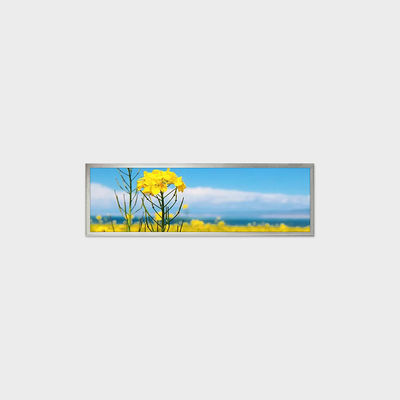 Solución de pantalla LCD TFT de 19,4 pulgadas con 1920*510, compatible con la personalización para aplicaciones de hogar inteligente