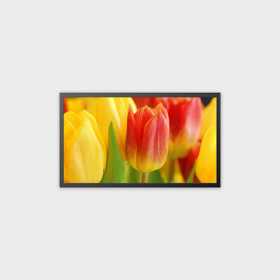 Máquina TFT LCD de 32 pulgadas recargable con soporte para el sistema Android 13.0