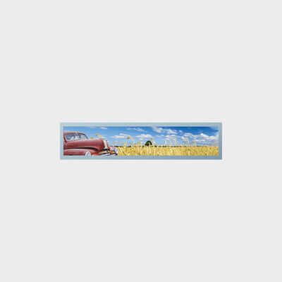 Tipo aplicación de transporte subterráneo con pantalla TFT de barra de 28 pulgadas con personalización