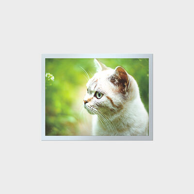 LCD TFT de larga duración y alto brillo de 15 pulgadas para paneles de instrumentos industriales