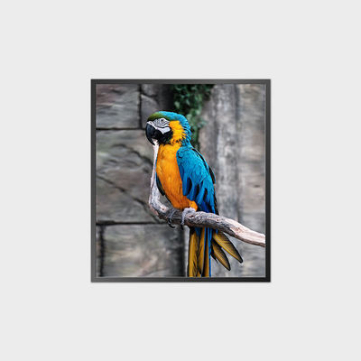 Panel LCD cuadrado de alto contraste 35.6 pulgadas 950*1080 500nit Con sistema Android