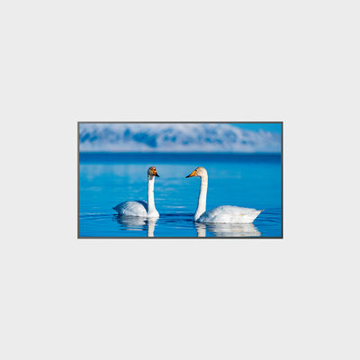 Panel LCD de alto brillo de 65 pulgadas 1920*1080 2000nits LCMA-RX0650GB08-Z200