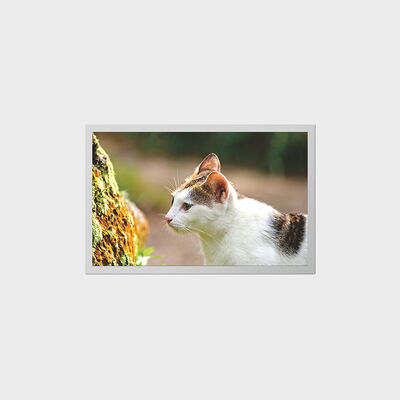 12.1 inch TFT Display With Low Power Consumption LCD for Portable Medical Devices