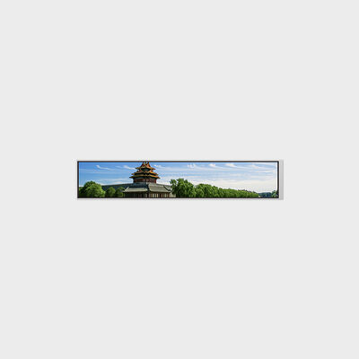 LCD tipo barra de 6,9 ​​pulgadas con resolución de 280*1424 compatible con personalización de brillo