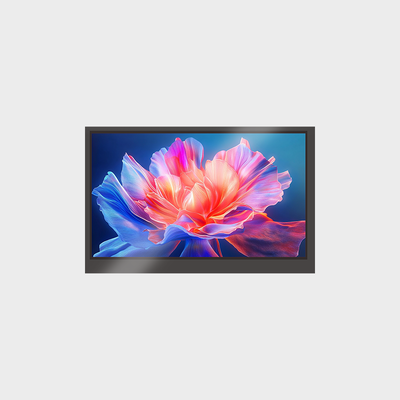 Exhibición mediana y pequeña de la exhibición 1024*600 RGB del LCD de 7,0 pulgadas con el panel táctil