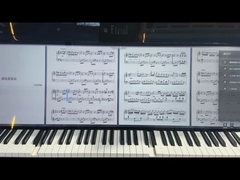 49.5 pulgadas Tipo de barra pantalla LCD LCMA-RX0495TL01-C025 2500Nits Solución de brillo