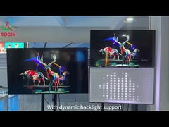 Introducción de apoyo técnico de la atenuación local de Rogin