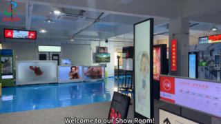 Sala de exposición de Rogin: módulo LCD Full HD de tamaño pequeño y mediano